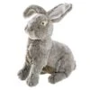 Hunter Jouet Pour Chien Wildlife Lapin -Meilleure Animalerie 020c46eb3b9970da917be2cdfade6ac01f2038e7 b29d586ecf4f49c3e502154a1c0b7d0bef216f95