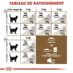 ROYAL CANIN Stérilisé Ageing 12+ Croquettes Chat 2 Kg -Meilleure Animalerie 030387bf0e36dc2d417016f1eb6ba1af17bd7eeb 1014717 fr FR ageingsteril 6