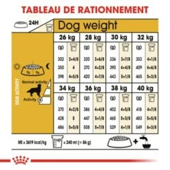 ROYAL CANIN Golden Retriever Adulte Croquettes Chien 3 Kg -Meilleure Animalerie 04206eacaedf66b6aa11b601eadd704eb444c1a0 dfd018d8b57c0c7142a9f71dad378a05797cd33b