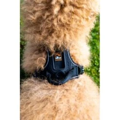 Dogs Creek Fressnapf GPS-traceur Harnais Pathfinder M -Meilleure Animalerie 0473ecbb0fe55fb7883a57b7591ab570c5a5aaa7 1409260 2