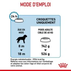 ROYAL CANIN Giant Junior Croquettes Chien 15 Kg 15 ROYAL CANIN Giant Junior Croquettes Chien 15 Kg -Meilleure Animalerie 0636dfd6cc6ca4018935d92ddf55424eb9c17e87 1003112009 fr FR giantjun 20 Kopie