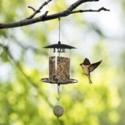 AniOne Colonne De Nourriture Plexiglas -Meilleure Animalerie 063c5ea6908657994800bbc5ea473a87b54db6a7 5b238536d76eba0407261b5df174170baeb9ced9