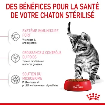 ROYAL CANIN Stérilisé Chaton Croquettes Chat 2 Kg 7 ROYAL CANIN Stérilisé Chaton Croquettes Chat 2 Kg – Image 5