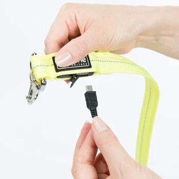 AniOne Laisse De Jogging LED 6 AniOne Laisse De Jogging LED – Image 4