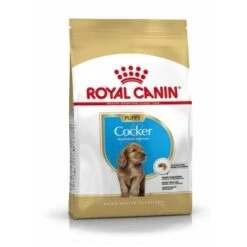 ROYAL CANIN Cocker Chiot Croquettes Chien 3 Kg -Meilleure Animalerie 0815517f2528f57c756ca06286db25d334b033e7 1082912 fr FR occkerpup 9