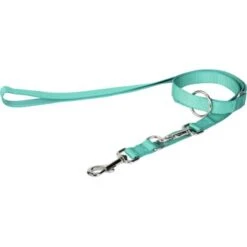 FIT+FUN Collier + Laisse Vert S -Meilleure Animalerie 0889ac364d23d4ee215ff650f8c82da3288beef0 9e239367ca961b7d3969b256ede71cb90fc9aa9a