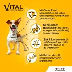 Pedigree Vital Multipack Sachets-portions En Gelée 40 X 100 G 10 Pedigree Vital Multipack Sachets-portions En Gelée 40 X 100 G -Meilleure Animalerie 0a8a05cf3e2550b662c3b88d4eb3c20880e13f55 1280045 de DE 5900951267833 SI1 1