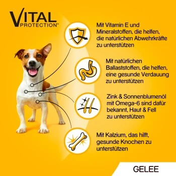 Pedigree Vital Multipack Sachets-portions En Gelée 40 X 100 G 5 Pedigree Vital Multipack Sachets-portions En Gelée 40 X 100 G – Image 3