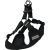 AniOne Harnais En Mesh Noir 28 Cm, 40 Cm -Meilleure Animalerie 0c58ab0aa5cd0b5ea6b341d80bb6fac7e78d9a2a 5e9423c85137ab2315e380fd0cf68389b80fa887