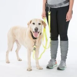 AniOne Laisse De Jogging LED 8 AniOne Laisse De Jogging LED -Meilleure Animalerie 0c872bf6382998b141f45fbfb4af3aef217593db 4460cbc445b3acb16f68236254f1a5dd5fbac998