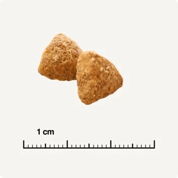 SELECT GOLD Light Adult Volaille & Riz 2,5 Kg 6 SELECT GOLD Light Adult Volaille & Riz 2,5 Kg – Image 4