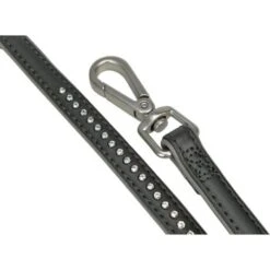 More Laisse FOR Deluxe Anthracite XS 5 More Laisse FOR Deluxe Anthracite XS -Meilleure Animalerie 0e4d429d6b4ea414d846414cdcf8df3e4e16e8cb 6aceb50234562dd2d2ccf3235be56a1e28ff6abe