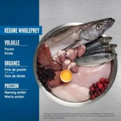 Orijen Croquettes Chien Original Adult 2 Kg -Meilleure Animalerie 0e97fc6ea03d2f5f5fe28421d54354bc936af813 1261018 fr FR orijenoriginal 1 Kopie