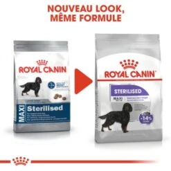 ROYAL CANIN Sterilised Maxi 3 Kg -Meilleure Animalerie 10448cc43a2d33e38e297035ef3c655f10a9dca8 1219833 fr FR sterilmaxi 2