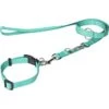 FIT+FUN Collier + Laisse Vert S -Meilleure Animalerie 118db30486514f53cc03b0a93f720dc58fb690c3 efd1733a615be75a8eccf8ff05703744e0ce6c89