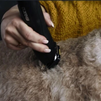 Moser Tondeuse Max50 Avec ASK 5 Moser Tondeuse Max50 Avec ASK – Image 3