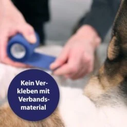 Canosept Gel Cicatrisant Ardap 20 ml 13 Canosept Gel Cicatrisant Ardap 20 ml -Meilleure Animalerie 1491c614315e3ae3ab1db2b92d5abb1edbf2a2de 1373080 de DE Canosept Wundgel wb 5