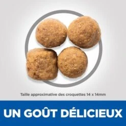 Hill's Science Plan Adult Large Breed Volaille 14 Kg -Meilleure Animalerie 149dc8bc2c033a2bbde6cd2b73a22ad0de142f3b 52742026077 6