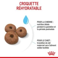 ROYAL CANIN Giant Starter Croquettes Chien 15 kg -Meilleure Animalerie 15b7d6992ffd4bf03befbc337fed6f0ae08c2939 1082865 fr FR giantstarter 6