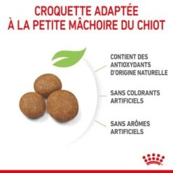 ROYAL CANIN Giant Chiot Croquettes Chien 3,5 Kg -Meilleure Animalerie 16059d44e8c93014bb9cce31bf54900122dcc7c5 1278345 fr FR puppygiant 5