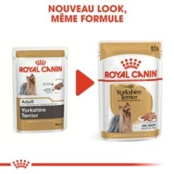 ROYAL CANIN Yorkshire Terrier Nourriture Humide Chien 12 X 85 G 17 ROYAL CANIN Yorkshire Terrier Nourriture Humide Chien 12 X 85 G -Meilleure Animalerie 1610bd1cba4448da012e2030d934e0098fc294d0 1239182 fr FR yorkiewet 6