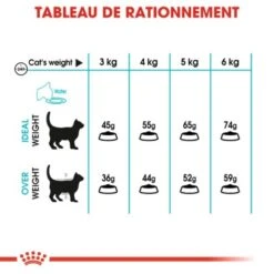 ROYAL CANIN Urinary Care Croquettes Chat 2 Kg -Meilleure Animalerie 1639e8235e2381213d30fc929ea0396e0ebd29cf 1189974 fr FR urinary 6 Kopie Kopie Kopie
