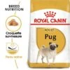 ROYAL CANIN Carlin Adulte Croquettes Chien 1,5 Kg 2 ROYAL CANIN Carlin Adulte Croquettes Chien 1,5 Kg -Meilleure Animalerie 17a7c4410df74242b90e5c245994db877f048dfd 1002584006 fr FR pug 8
