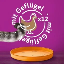 Whiskas Adult 1+ Sauce 12 X 400 G Volaille -Meilleure Animalerie 191c30fd318ab4b6fd88f4acfa0b601404b57044 1099235 de DE 04008429033971 C1LM s03 v01 3 6