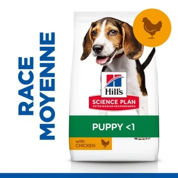 Hill's Science Plan Puppy Medium Au Poulet 14 Kg 4 Hill's Science Plan Puppy Medium Au Poulet 14 Kg – Image 2