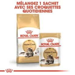 ROYAL CANIN Maine Coon Adulte Nourriture Humide Chat 12 X 85 G -Meilleure Animalerie 196bf3b865d4613571aba370eba2554e7c2e1c5d 1a315fed9ee4aa68adb15a0c43ecad9622df1105