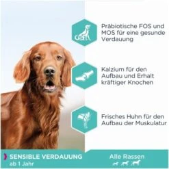 EUKANUBA Daily Care Digestion Sensible 12 Kg 9 EUKANUBA Daily Care Digestion Sensible 12 Kg -Meilleure Animalerie 1a7d954ffcf2645186347fe3a5210755c5368933 4414615294b74dc58e6a1119f8cd6be9a67be173