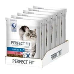 PERFECT FIT Indoor 1+ 6 X 750 g Riche En Bœuf