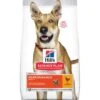 Hill's Science Plan Performance Adult 1+ Avec Du Poulet 14 Kg -Meilleure Animalerie 1c04da13c5f86ddbbebf7084f40468826ac130f6 10b0c2e2dd0978fc8fbc8031739aa825a9ddec94
