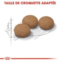 ROYAL CANIN Stérilisé Ageing 12+ Croquettes Chat 2 Kg -Meilleure Animalerie 1c57e4988a6fc299cf8eef4845de25e8faa438d9 1014717 fr FR ageingsteril 5