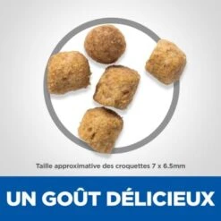 Hill's Science Plan Urinary Health Adult 1+ Avec Du Poulet 1,5 Kg 12 Hill's Science Plan Urinary Health Adult 1+ Avec Du Poulet 1,5 Kg -Meilleure Animalerie 1d281eec780937ca93884e0ddf0607aea43412f5 52742003771 6
