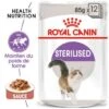 ROYAL CANIN Stérilisé Nourriture Humide Chat 12 X 85 G En Sauce -Meilleure Animalerie 1d5d2e4710b68b1edac58f529fc7de53579bbdac a67b434ab76a88840b466345fe26e651054d63f5