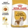ROYAL CANIN Cavalier King Charles Adulte Croquettes Chien 7,5 Kg -Meilleure Animalerie 1e1d7c6fe34d502016e46424fb3fe08495c82dac 1052726 fr FR cavalier 2 Kopie Kopie