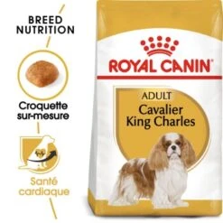 ROYAL CANIN Cavalier King Charles Adulte Croquettes Chien 7,5 Kg