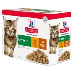 Hill's Science Plan Kitten Multipack Au Poulet Et Au Dindon 12x85 G