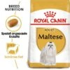 ROYAL CANIN Bichon Maltais Adulte Croquettes Chien 1,5 Kg 1,5 Kg -Meilleure Animalerie 1efd7b2b7e3ebf49172e66d3fe4c0908b6bce733 cb8d18a869e8335b30096ce03d2f03149d984151