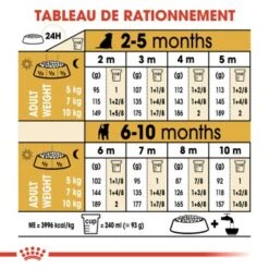 ROYAL CANIN Jack Russell Terrier Chiot Croquettes Chien 1,5 Kg 14 ROYAL CANIN Jack Russell Terrier Chiot Croquettes Chien 1,5 Kg -Meilleure Animalerie 1f6b9e469608dc189ab28b4e9b2912c44859f34b 1002584009 fr FR jackpup 6