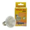 Lucky Reptile Halogen Sun 35 W -Meilleure Animalerie 1fe70032fc948055e5dbf567d4d928de690db580 dd11f37c4190fc10c4f452d6e4c609d8b6eb7b8e