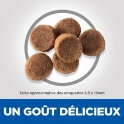 Hill's Science Plan Puppy Large Breed 14,5 Kg 15 Hill's Science Plan Puppy Large Breed 14,5 Kg -Meilleure Animalerie 21b7f9f4e49e247f3b4dd94031fdabb6156245ae 52742026084 6