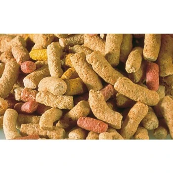 Sera Raffy P 1 L 5 Sera Raffy P 1 L – Image 3