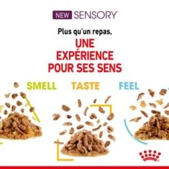 ROYAL CANIN Sensory Smell Nourriture Humide Chat 12 X 85 G 15 ROYAL CANIN Sensory Smell Nourriture Humide Chat 12 X 85 G -Meilleure Animalerie 24ef489d17c885b3262ce46c20c2e0a0babd88e2 1368001 fr FR smelljelly 3