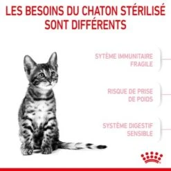 ROYAL CANIN Stérilisé Chaton Croquettes Chat 2 Kg 17 ROYAL CANIN Stérilisé Chaton Croquettes Chat 2 Kg -Meilleure Animalerie 25c0c160f6f1595889338615eb136e25fdb1dc67 1014711 fr FR kittensteril 12 Kopie