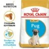 ROYAL CANIN Carlin Chiot Croquettes Chien 1,5 Kg