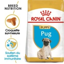 ROYAL CANIN Carlin Chiot Croquettes Chien 1,5 Kg