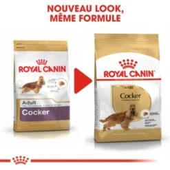 ROYAL CANIN Cocker Adulte Croquettes Chien 3 Kg -Meilleure Animalerie 28ac21ce3c46709432a577348a18d848d15bae38 1007543 fr FR cocker 2