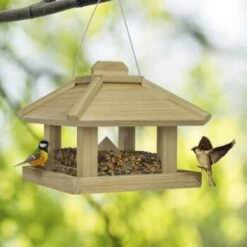 AniOne Mangeoire à Silo Pour Oiseaux Sauvages -Meilleure Animalerie 2a8792f6e35ff1c97cb7ad826b06312dfe6a8c07 4f5253fb981a81cd2115de211e23c61932b192d5